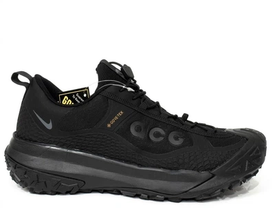 Чоловічі термо кросівки Nk ACG Mountain Fly Low 2 Gore-Tex чорний 44