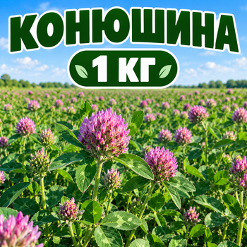 Насіння Конюшини Червоної, 1 кг Багаторічний Сидерат