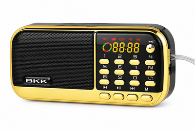 Портативный мини-радиоприемник BKK 836 FM-радио и MP3-плеер с LED лампой и часами 2 аккумулятора 18650