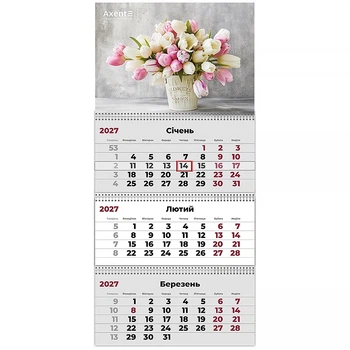 Календарь настенный квартальный 2027г, 3 пр., Magic Flowers 2