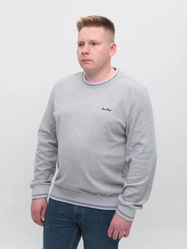 Джемпер чоловічий світло-сірий 5413-17 3XL
