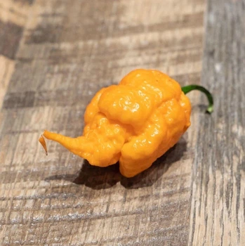 Свежий перец Каролина Рипер (Carolina Reaper) персик (peach) - 1 шт
