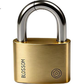 Латунный навесной замок BLOSSOM для офиса, общежития, склада, больших железных ворот, шкафов, водонепроницаемый и устойчивый к коррозии BC9040