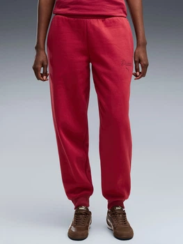 Спортивные штаны на флисе женские Puma ESS Script Sweatpants FL 69406723 S Красные (4070033363003)