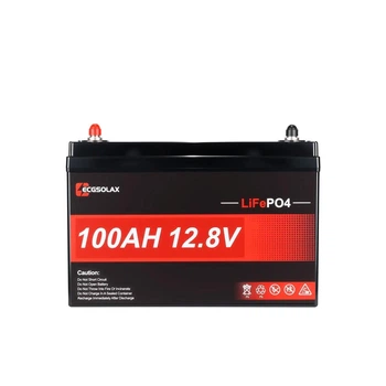 Аккумуляторная батарея Ecgsolax LiFePO4 12.8V 100Ah 1280Wh