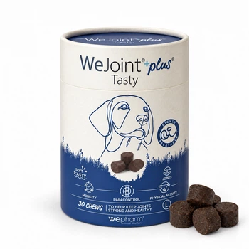 Кормова добавка WeJoint® Plus Tasty Large Breeds - для собак великих порід, у формі м’яких жувальних пастилок для підтримки здоров’я суглобів (хондропротектор в 1пас на 40кг) (5600757920924)