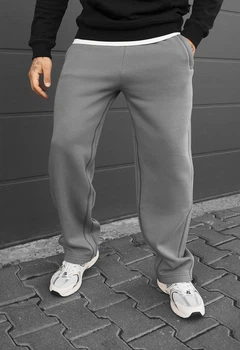 Спортивные штаны мужские Staff серые на флисе классические Staff kl gray fleece S (406267)