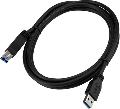 Kabel Startech USB-A - USB-B 3.2 Gen 1/3.1 Gen 1 2 m Black (USB3CAB2M)