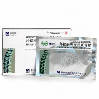 Ортопедические травяные пластыри Bang De Li "ZB Pain Relief Orthopedic Plaster" китайские лечебные патчи для спины и суставов коленей и локтей на травах от боли, воспалений и отеков (6 пластырей)