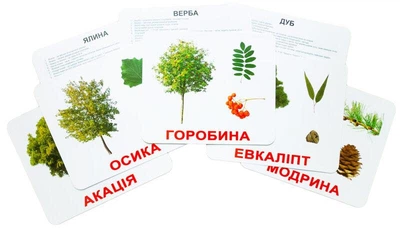 Карточки методика Глена Домина 20карточек деревья (097034/А21)