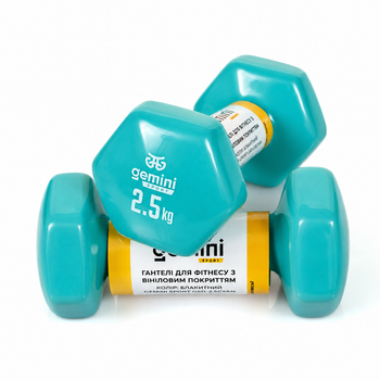Гантели Gemini Sport для фитнеса с виниловым покрытием 2шт по 2.5кг GSD-2.5CYAN
