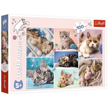 Пазли Trefl У світі котів 16420 100 елементів Різнокольоровий shop (5900511164206)