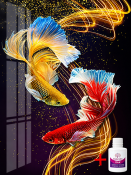 Алмазна мозаїка на підрамнику ColorArt 30х40 Кольорові рибки STP478 + Подарунок лак для покриття