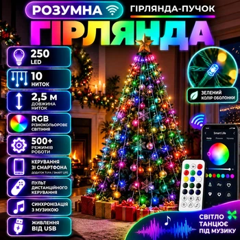 Розумна гірлянда Smart RGB 250 LED з кільцем та 10 нитками по 2,5 м, Новорічна світлодіодна гірлянда від USB з керуванням через смартфон і пульт, синхронізацією з музикою та 500+ режимами світіння, Різнокольоровий