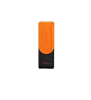 Флеш память USB Kingston DTXS 256GB USB 3.2 Gen1