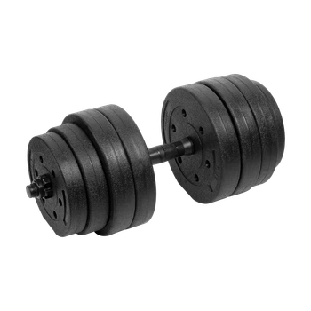 Гантель регульована Rebel Active 20 кг (RBA-2328-20)