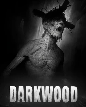 Гра Darkwood для ПК (Ключ активації Steam)