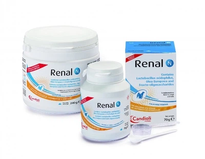 Препарат при захворюваннях нирок Candioli Renal N – у порошку 70 г