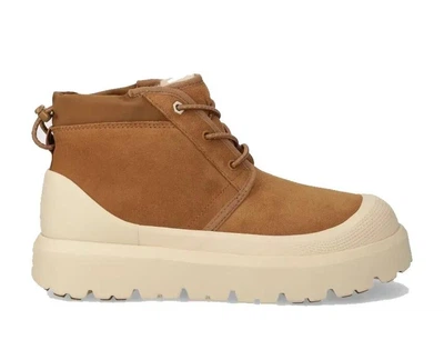 Жіночі Уггі UGG Neumel High Weather Hybrid Chestnut (1143991-CWTC) 40 Каштан