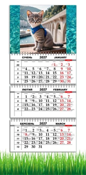 Календарь настенный квартальный на 2027 год на три пружины, Apriori , Котик , Серый Котик, Кот , 29,7х61см , 4 вид