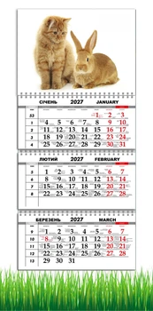 Календар настінний квартальний на 2027 рік на три пружини , Apriori , Тварини ,Рудий кіт, Заєць , 29,7х61см