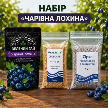 Набір " Чарівна лохина"( власне фасування)