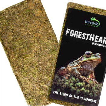Мох Сфагнум Terrario ForestHeart Sphagnum Moss 100г для тераріумів та орхідей