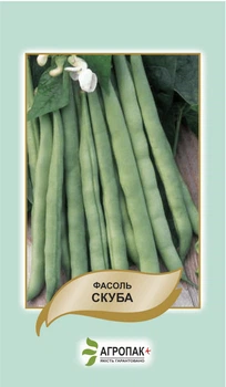 Фасоль спаржевая кустовая “Скуба” 20 шт