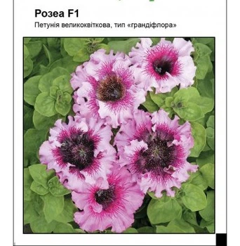 Петунія Розеа F1, 10 шт, Садиба Центр