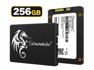 Внутренний SSD-накопитель SomnAmbulist 256 ГБ 2.5" SATA III Белый