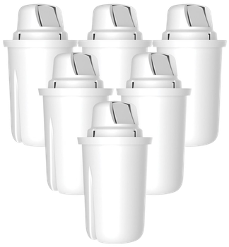 Zestaw filtrów Dafi Classic (D.WF.DAFI.5+1.P)