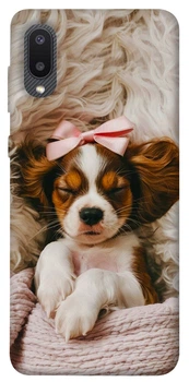 Чехол для Galaxy A02 с принтом Sleepy spaniel