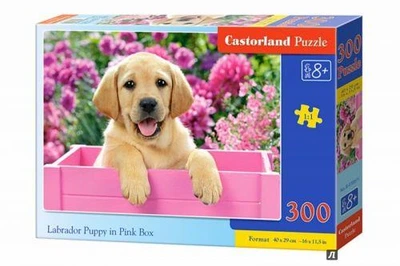 Пазли Castorland "Щеня лабрадора" 300 елементів 40 х 29 см B-030071