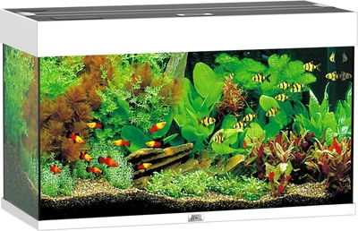 Акваріумний набір Juwel Rio 125 LED Білий (4022573014501)