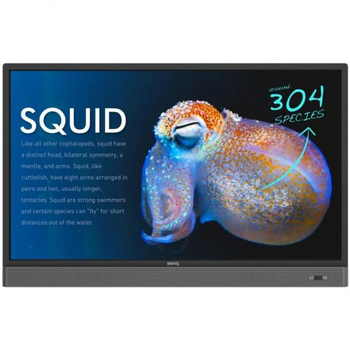 LCD панель BENQ RP553K Black (9H.F3TTK.RE1)
