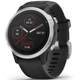 Спортивні годинник Garmin Fenix 6S Silver (010-02159-01) - зображення 1