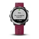 Спортивные часы Garmin Forerunner 645 Music With Cerise Colored Band (010_01863_31) - изображение 6