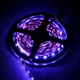 Светодиодная лента Venom SMD 5050 60д.м. (IP33) Standart RGB - изображение 2