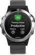 Спортивные часы Garmin Fenix 5 Black Silver with Black Band Silver (010-01688-03) - изображение 1