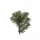 Искусственная елка Классик Arts Pine «Каролина» ПВХ 250 см Зеленый (EL-С017) TRG-85769 - изображение 2