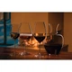 Набор бокалов для красного вина Cabernet Riedel 0.625 л (2 шт) (6449/0) - изображение 3