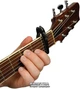 Planet Waves Ratchet Capo (PWCP01) - зображення 2