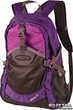 Рюкзак 23 л Onepolar W1581 Violet (W1581-violet) - изображение 1