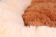 Лежанка для собак і кішок Collar Теремок Шик №1 30 x 40 x 8 см (4764) - зображення 2