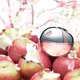 Woda perfumowana damska DKNY Be Delicious Fresh Blossom 100 ml (22548172971 / 0085715950086 / 085715004222) - obraz 3