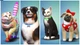 Sims 4 + Cats and Dogs (PS4, русские субтитры) - изображение 6