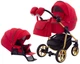 Коляска 2 в 1 Adamex Hybryd Plus Polar (Gold) BR313 красная - изображение 1
