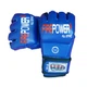 Перчатки MMA FirePower FPMGA2 (L/XL) Синие - изображение 1