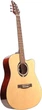 Гітара акустична Flycat C100 NT - зображення 2