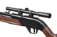 Пневматична гвинтівка Crosman "Pump Мaster" Crosman Чорний - зображення 3